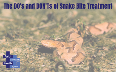 The DO’s and DON’Ts of Snake Bite Treatment